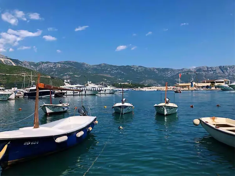 蒙特內哥羅隊主場告捷晉級下一輪 蒙特內哥羅隊主場告捷晉級下一輪