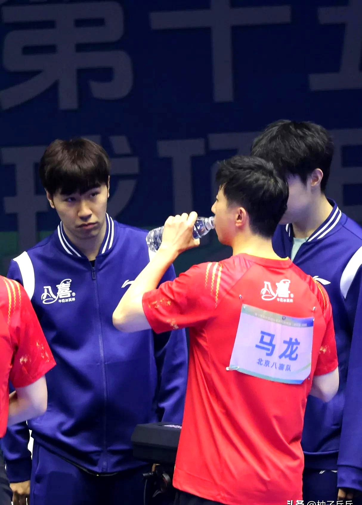 包含德国队逆转日本队，马龙状态火热的词条